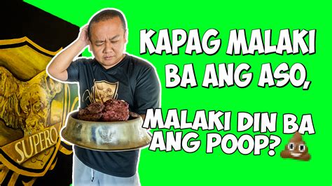 pinay suso reveal|Malaki Suso Kaya Malaki Din Ang Singil sa Vidjakol.
